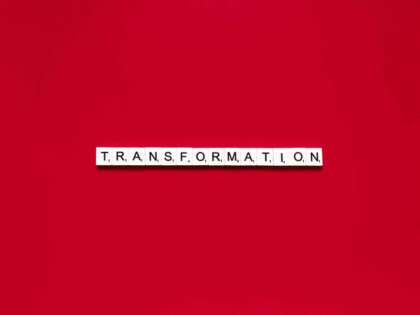 Quel est le processus pour convertir un sous-sol en studio de musique insonorisé ?